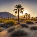 The Truth About the Cost of Participating in Coachella Valley Wellness Recreation