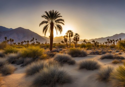 The Truth About the Cost of Participating in Coachella Valley Wellness Recreation